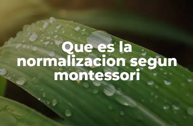 Que es la Normalizacion Segun Montessori