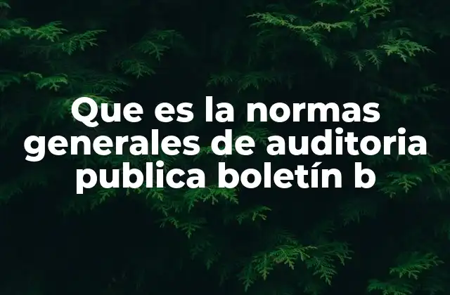 Que es la Normas Generales de Auditoria Publica Boletín B