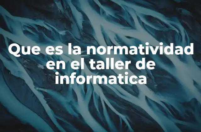 Que es la Normatividad en el Taller de Informatica