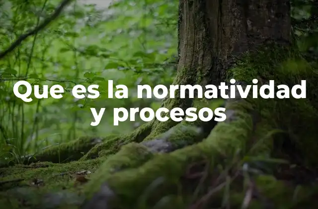 Que es la Normatividad y Procesos