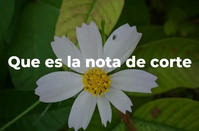 Que es la Nota de Corte