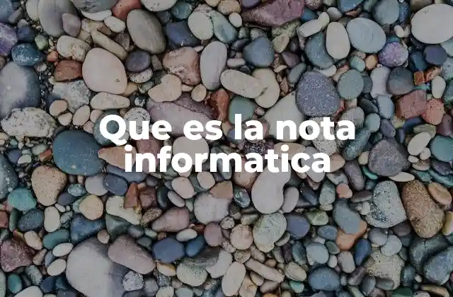 Que es la Nota Informatica