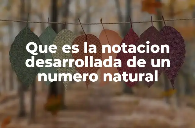 Que es la Notacion Desarrollada de un Numero Natural