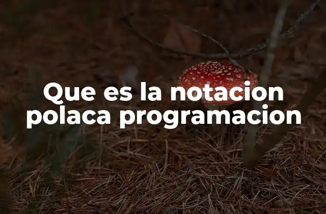 Que es la Notacion Polaca Programacion 2 La importancia de la notación en la programación