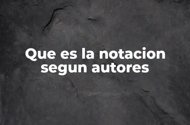 Que es la Notacion Segun Autores