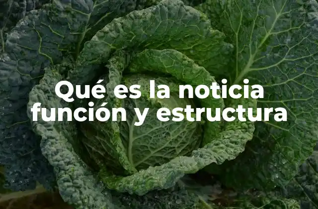 Qué es la Noticia Función y Estructura