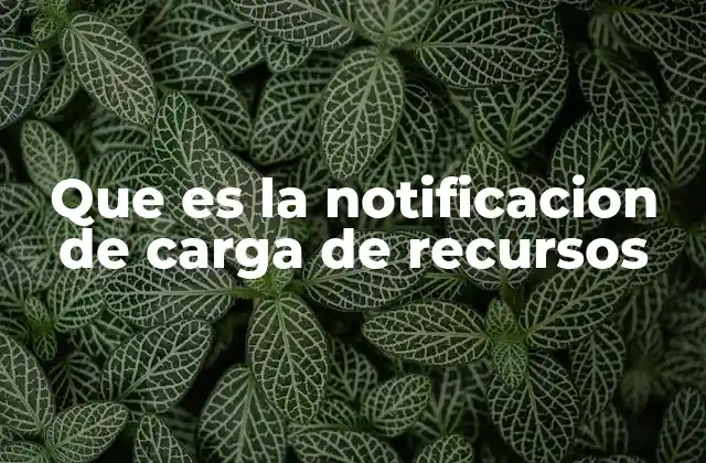 Que es la Notificacion de Carga de Recursos