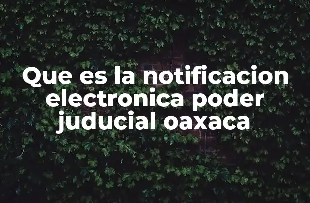 Que es la Notificacion Electronica Poder Juducial Oaxaca
