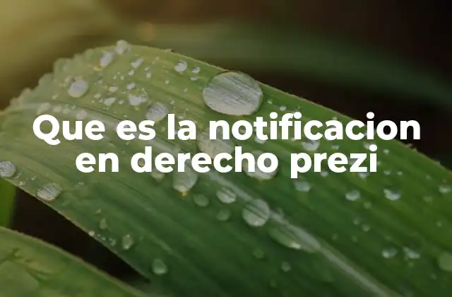 Que es la Notificacion en Derecho Prezi