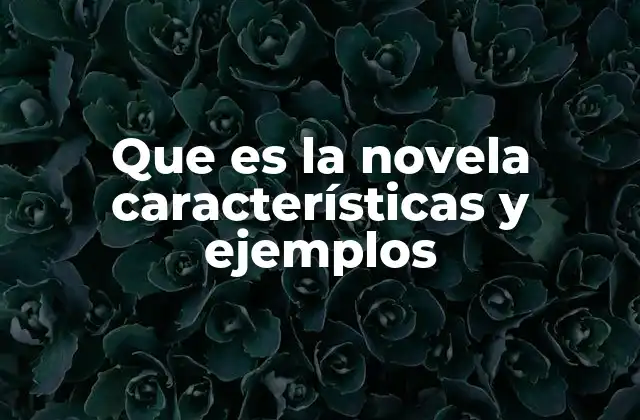 Que es la Novela Características y Ejemplos