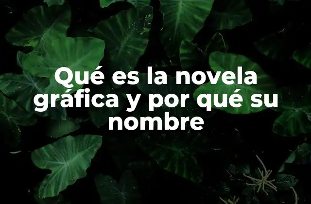 Qué es la Novela Gráfica y por Qué Su Nombre