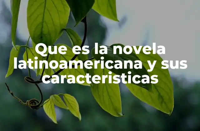 La importancia de la novela en el contexto cultural de América Latina