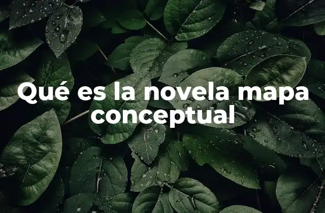 Qué es la Novela Mapa Conceptual