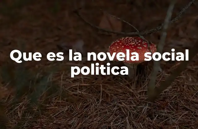 Que es la Novela Social Politica