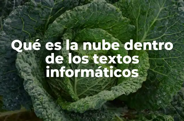 Qué es la Nube Dentro de los Textos Informáticos