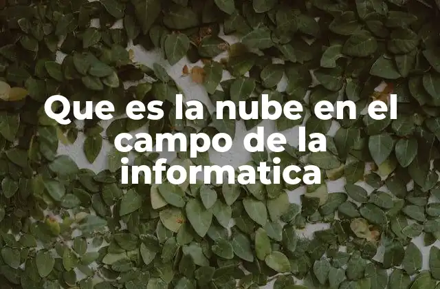 Que es la Nube en el Campo de la Informatica