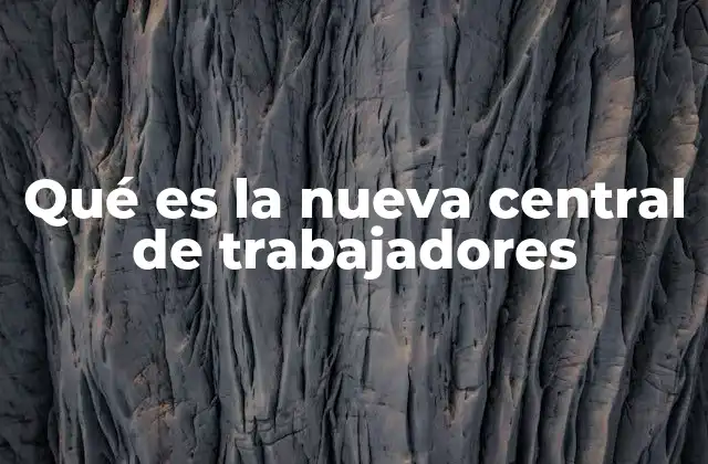 Qué es la Nueva Central de Trabajadores