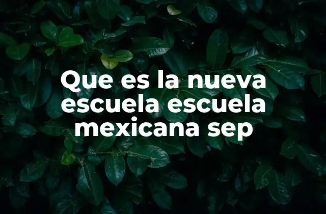 Que es la Nueva Escuela Escuela Mexicana Sep