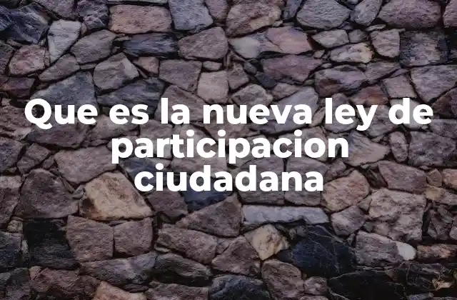 Que es la Nueva Ley de Participacion Ciudadana