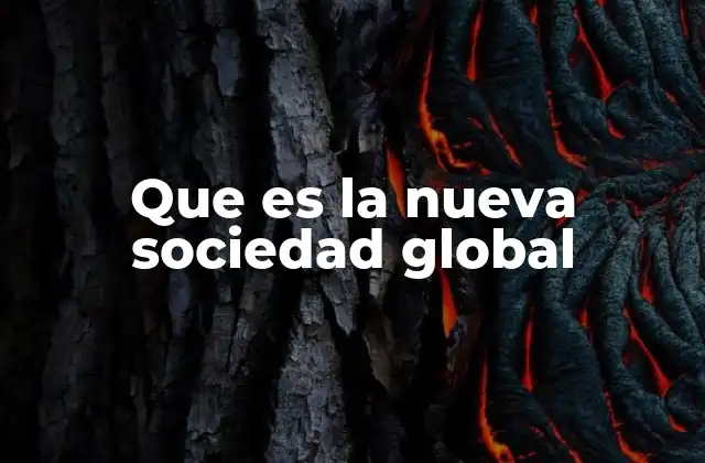 Que es la Nueva Sociedad Global
