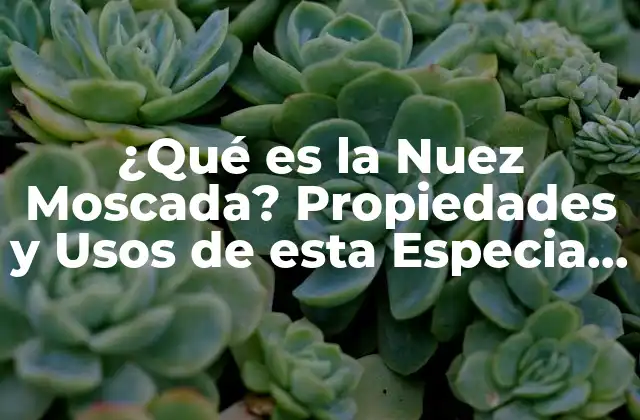 ¿qué es la Nuez Moscada? Propiedades y Usos de Esta Especia Aromática
