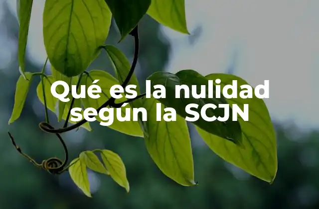 Qué es la Nulidad según la Scjn