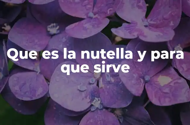Que es la Nutella y para que Sirve