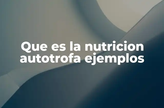 Que es la Nutricion Autotrofa Ejemplos