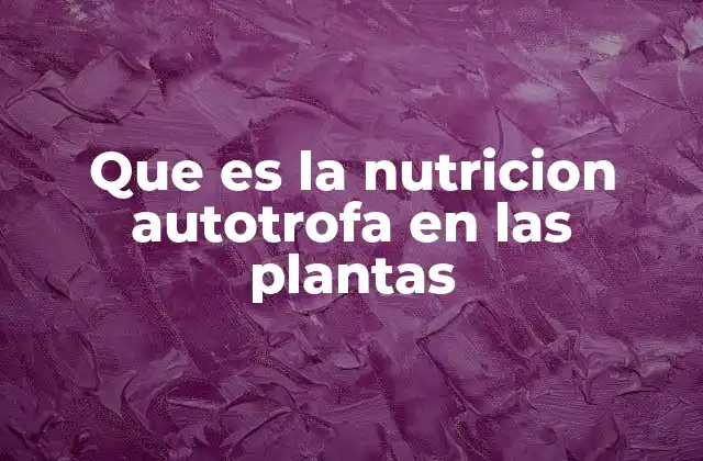 Que es la Nutricion Autotrofa en las Plantas
