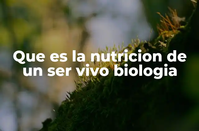 Los distintos tipos de nutrición en la biología