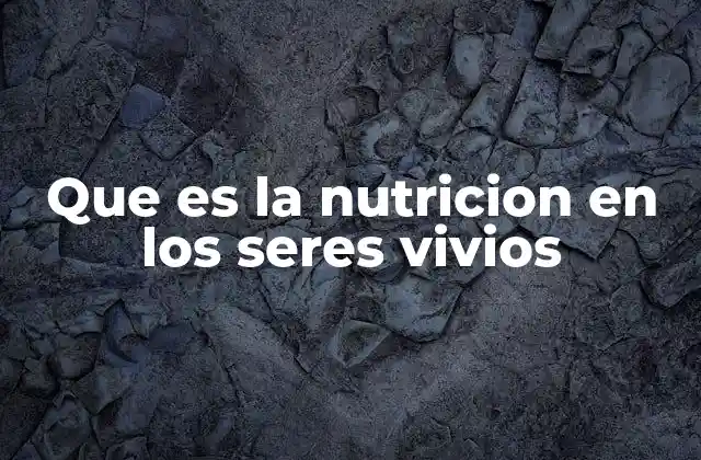 Cómo funciona la nutrición en los organismos