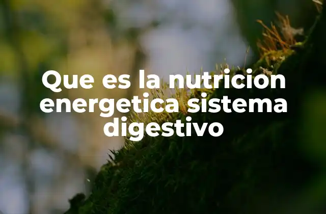 Que es la Nutricion Energetica Sistema Digestivo