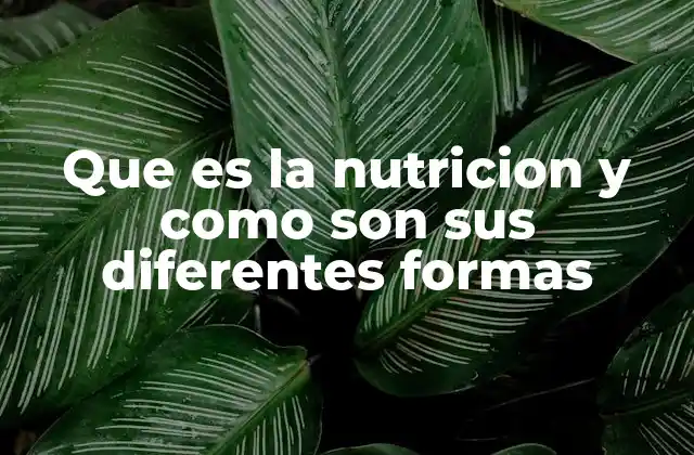 El rol de los nutrientes en el funcionamiento del cuerpo