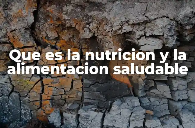 Que es la Nutricion y la Alimentacion Saludable