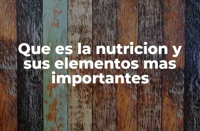 La importancia de los nutrientes en el cuerpo humano
