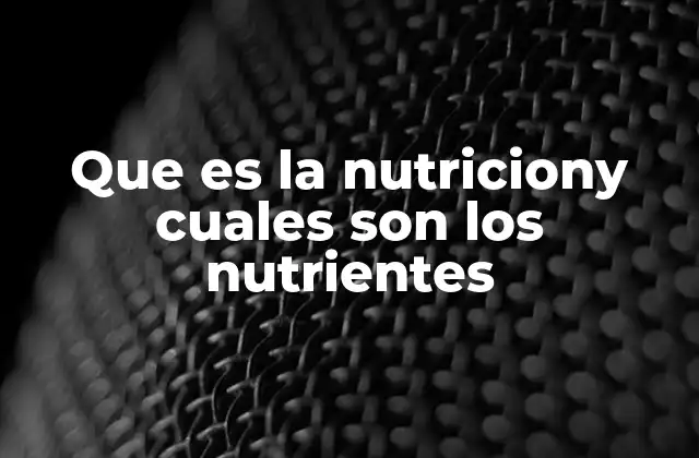 La importancia de comprender cómo funcionan los nutrientes en el cuerpo