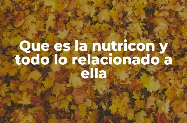 La importancia de una alimentación equilibrada en el bienestar general