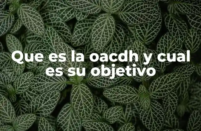 Que es la Oacdh y Cual es Su Objetivo