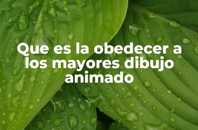 Que es la Obedecer a los Mayores Dibujo Animado