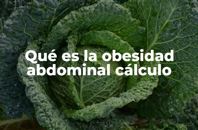 Qué es la Obesidad Abdominal Cálculo