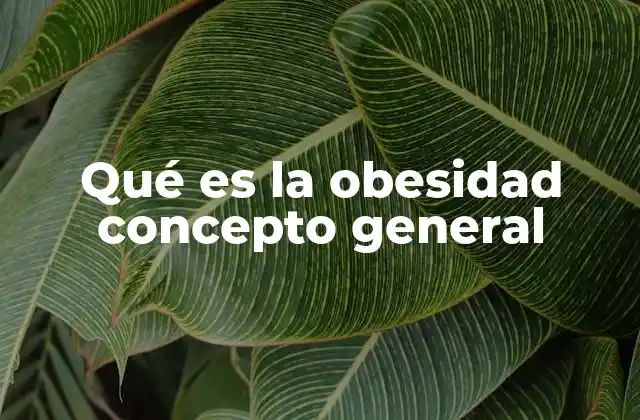 Qué es la Obesidad Concepto General