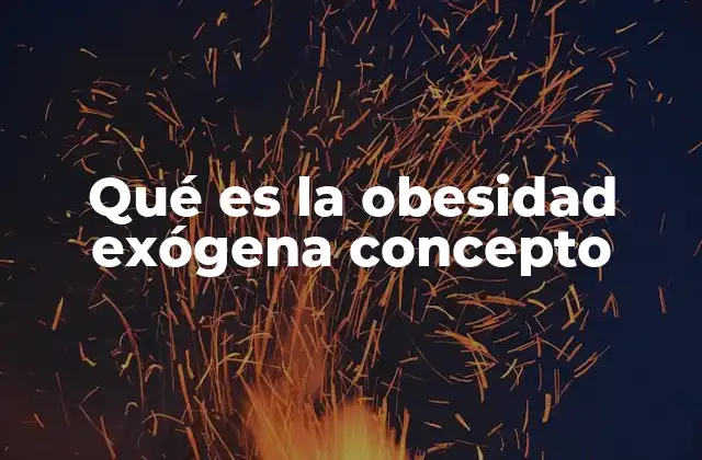 Qué es la Obesidad Exógena Concepto
