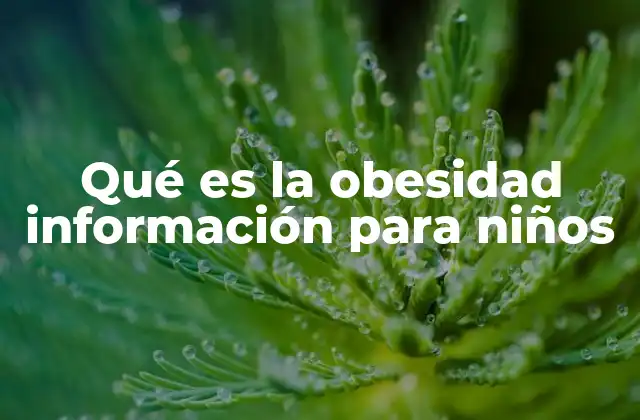Qué es la Obesidad Información para Niños