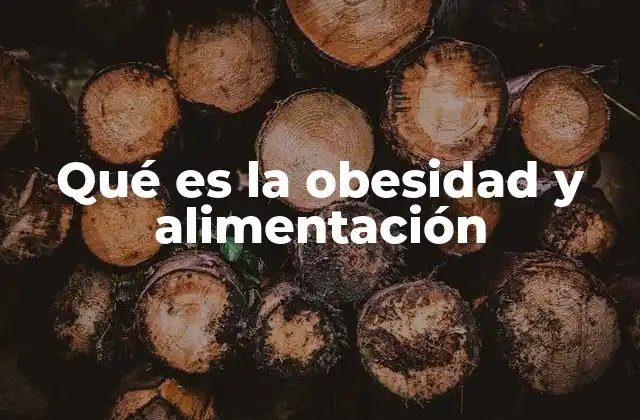 Qué es la Obesidad y Alimentación