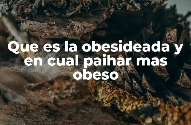 Que es la Obesideada y en Cual Paihar mas Obeso