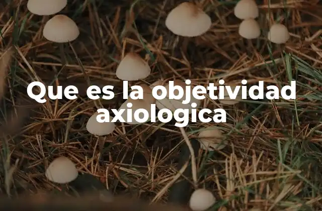Que es la Objetividad Axiologica
