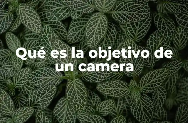 Qué es la Objetivo de un Camera