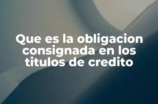 Que es la Obligacion Consignada en los Titulos de Credito