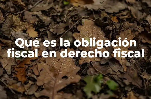 Qué es la Obligación Fiscal en Derecho Fiscal