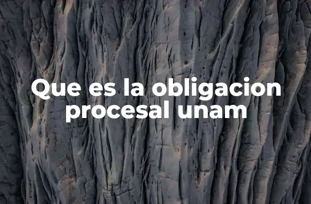 Que es la Obligacion Procesal Unam